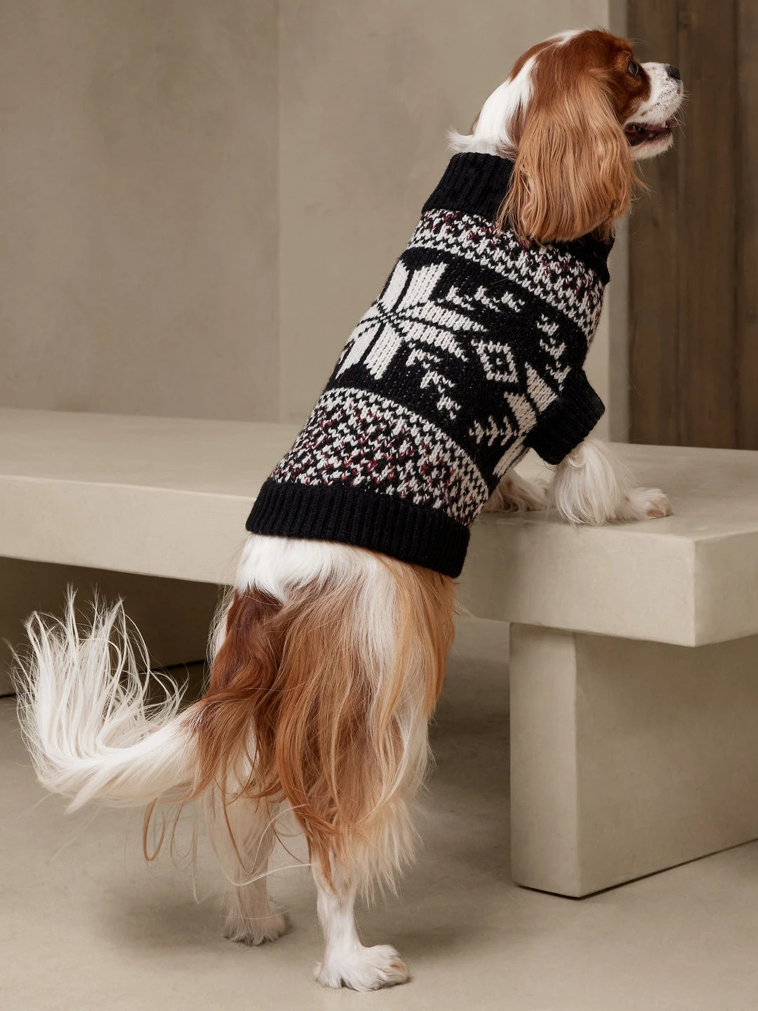 Best reviews of π― Banana Republic Rafa Fair Isle Dog Sweater π€© 2 Best reviews of π― Banana Republic Rafa Fair Isle Dog Sweater π€© - Image 2