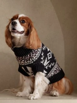 Best reviews of 💯 Banana Republic Rafa Fair Isle Dog Sweater 🤩